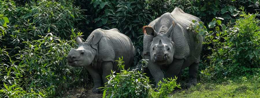 Meghalaya & Arunachal Package